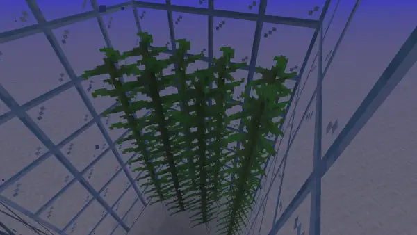 How to Make a Water Elevator in Minecraft Kelp Placed