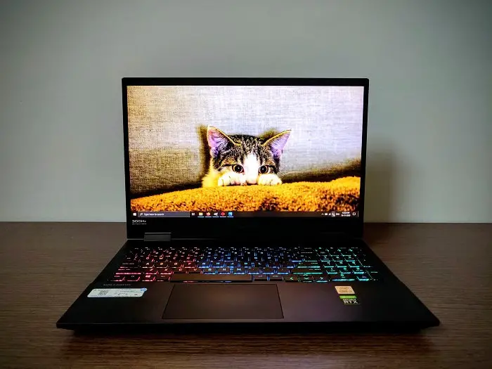 HP OMEN 15 Display Image