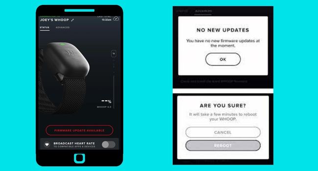 Whoop Firmware Update Issue